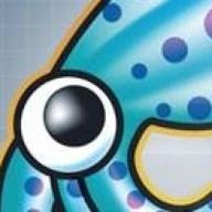 Squid